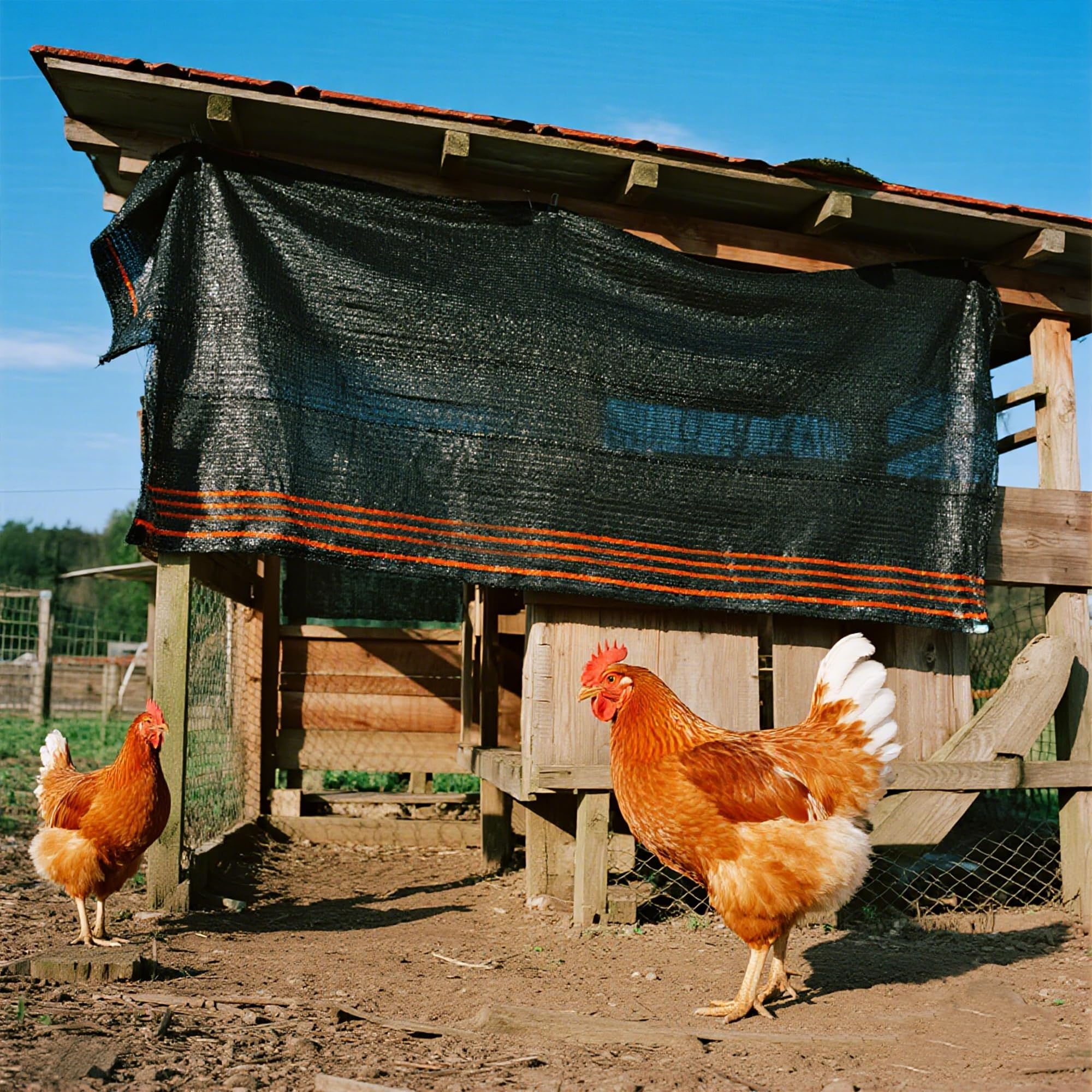 Winemana outdoor shade protects vegetables, fruits, and flowers from harsh sun.