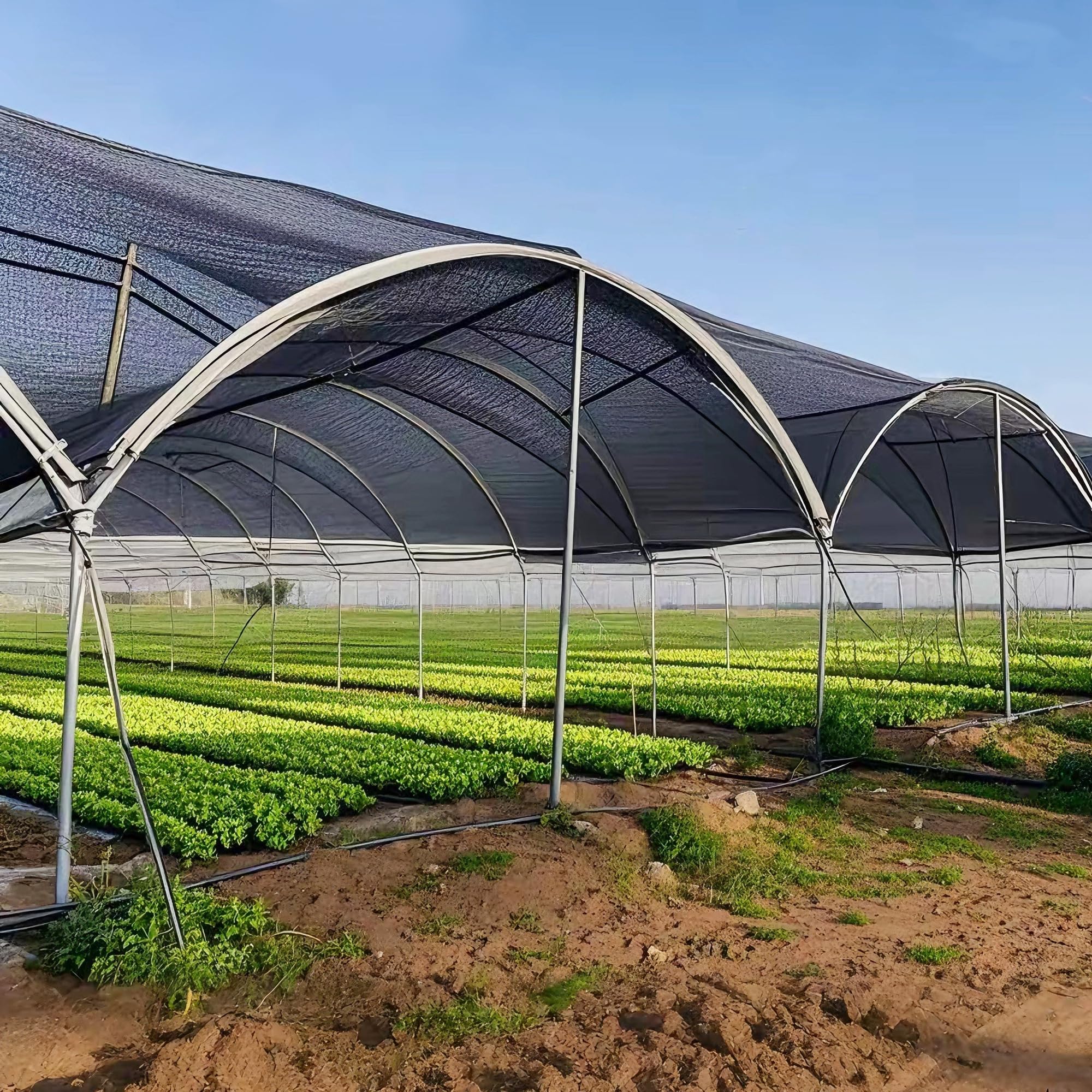 Winemana poultry coop shade keeps chickens comfortable during hot days.