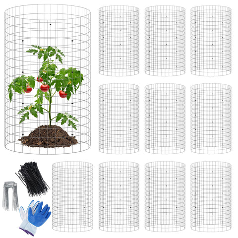 Winemana protector cage assembly helps guard seedlings in the garden.