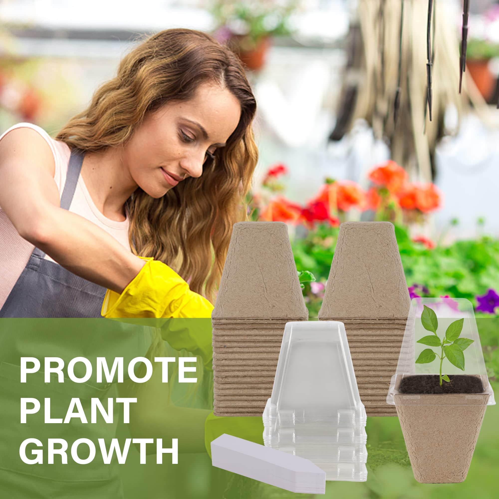 Winemana root-friendly design minimizes transplant shock during pot-to-ground transfer.