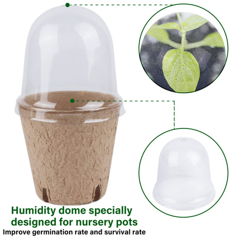 Winemana seed starter pots with labels for organized seedling management.