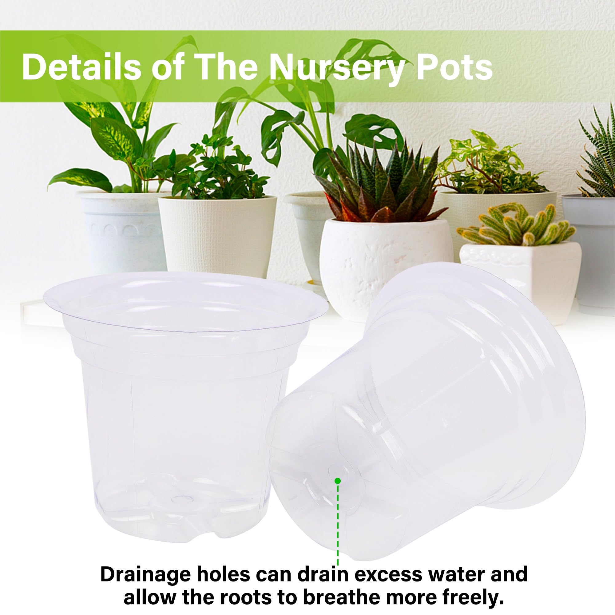 Winemana seedling tray supports indoor germination with ample root space.