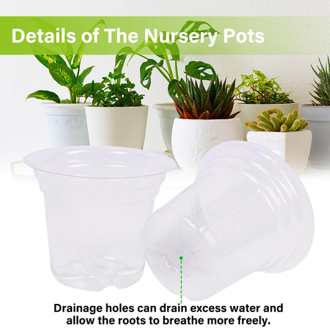 Winemana seedling tray supports indoor germination with ample root space.