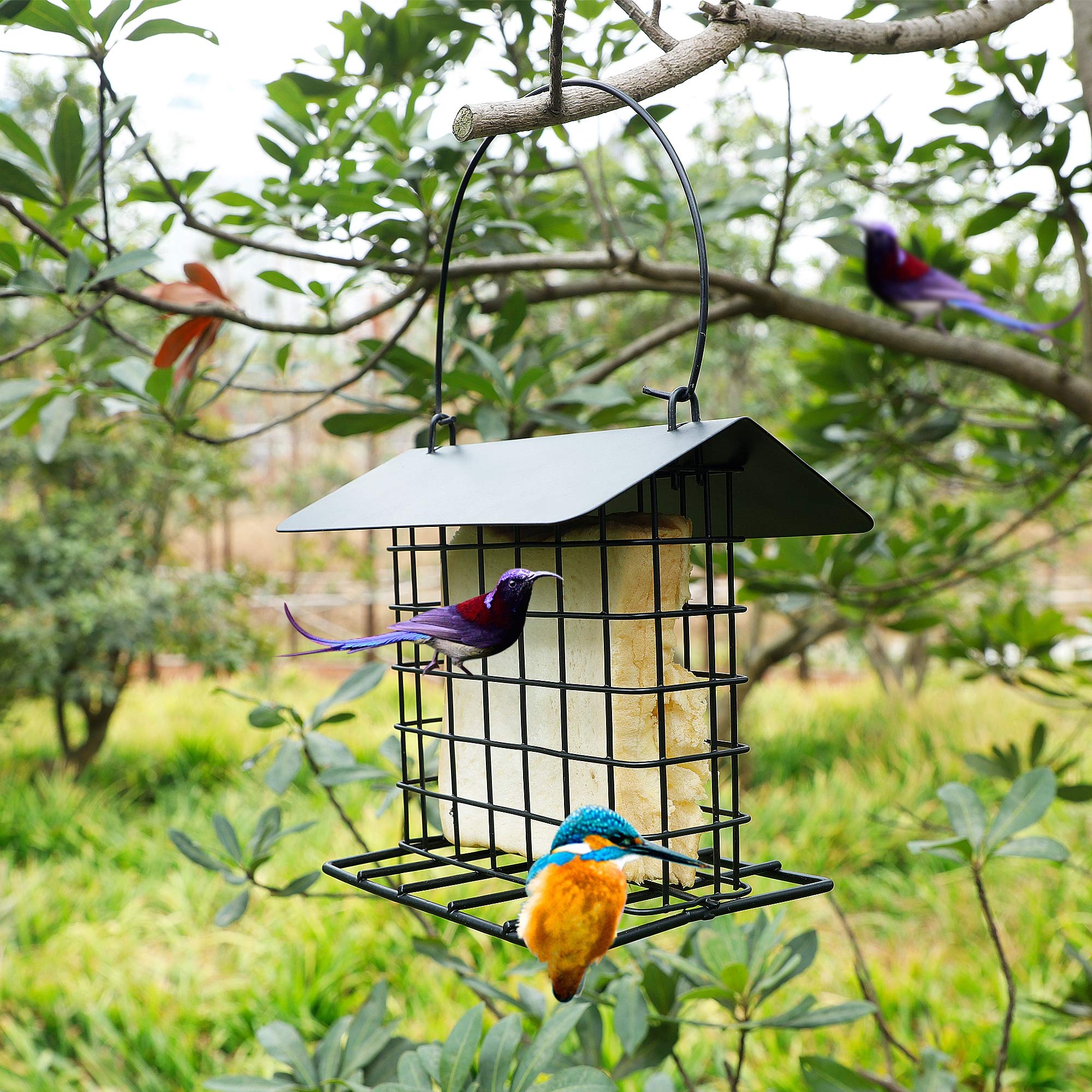 Open design allows several birds at once for a lively garden visit.