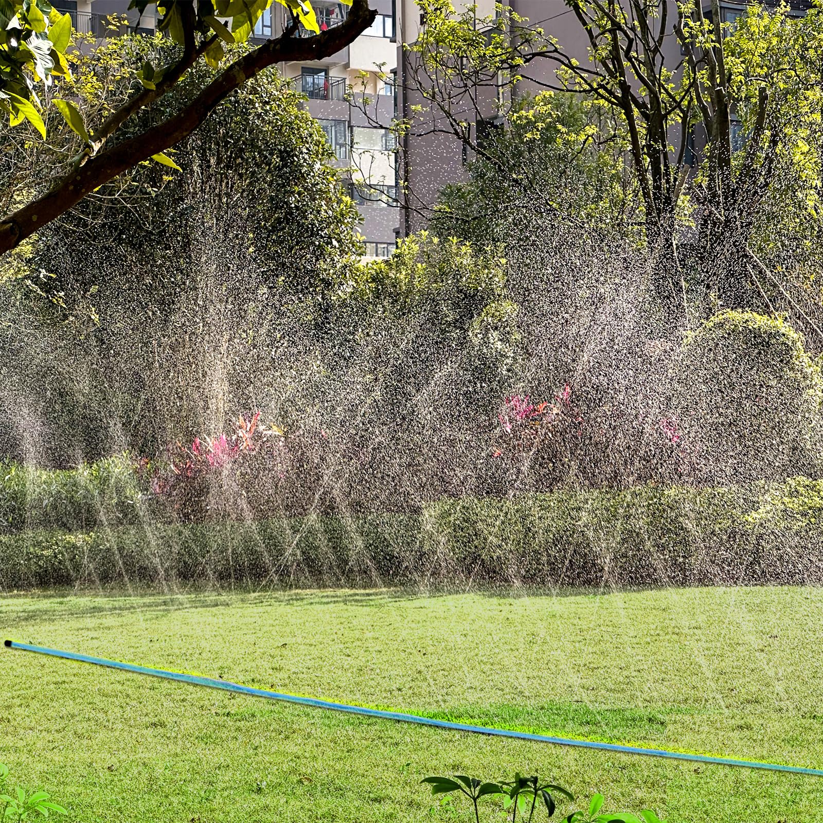 Winisok sprinkler hose secured with stakes for stable layout