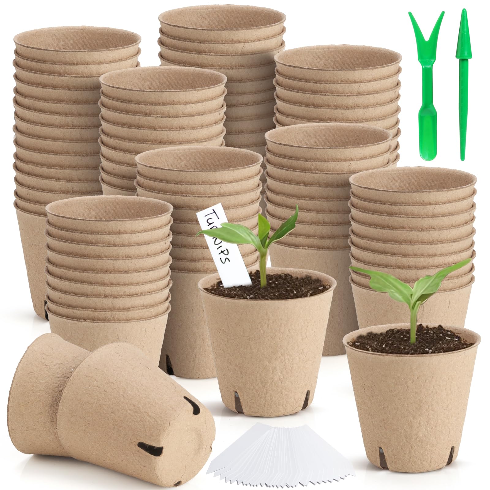 WinJiaYao peat pot with drainage holes supporting clean seedling germination