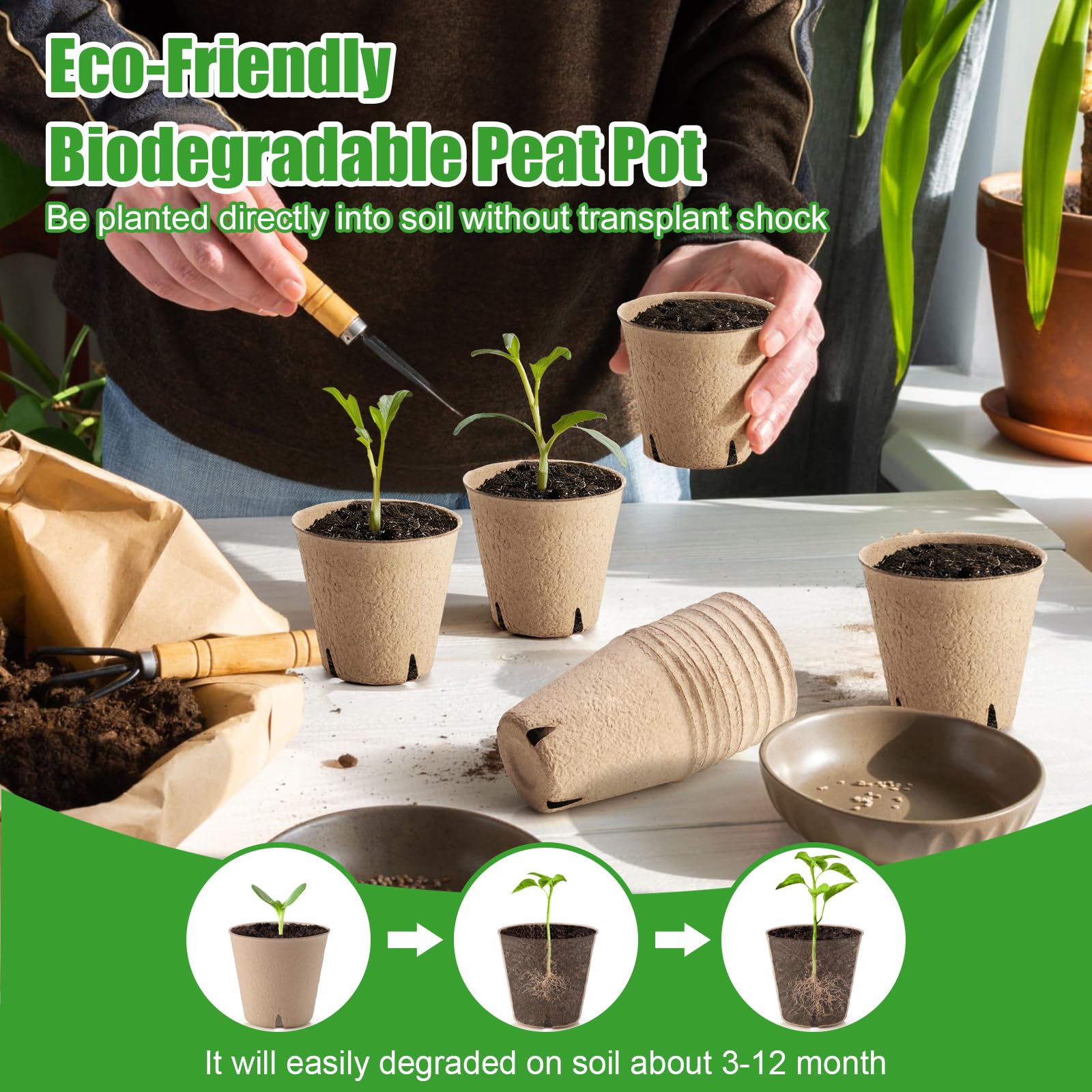 WinJiaYao seed starter kit includes 30 labels for organized planting