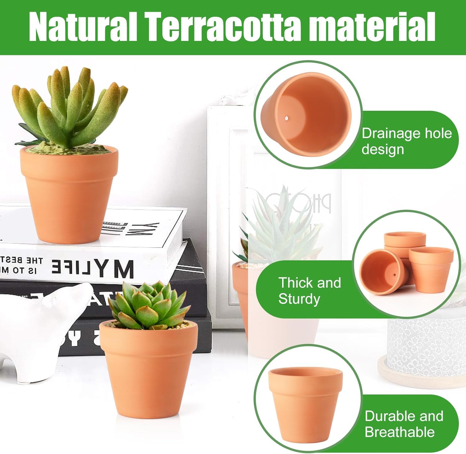 WinJiaYao terracotta pot with smooth surface ideal for painting and crafts