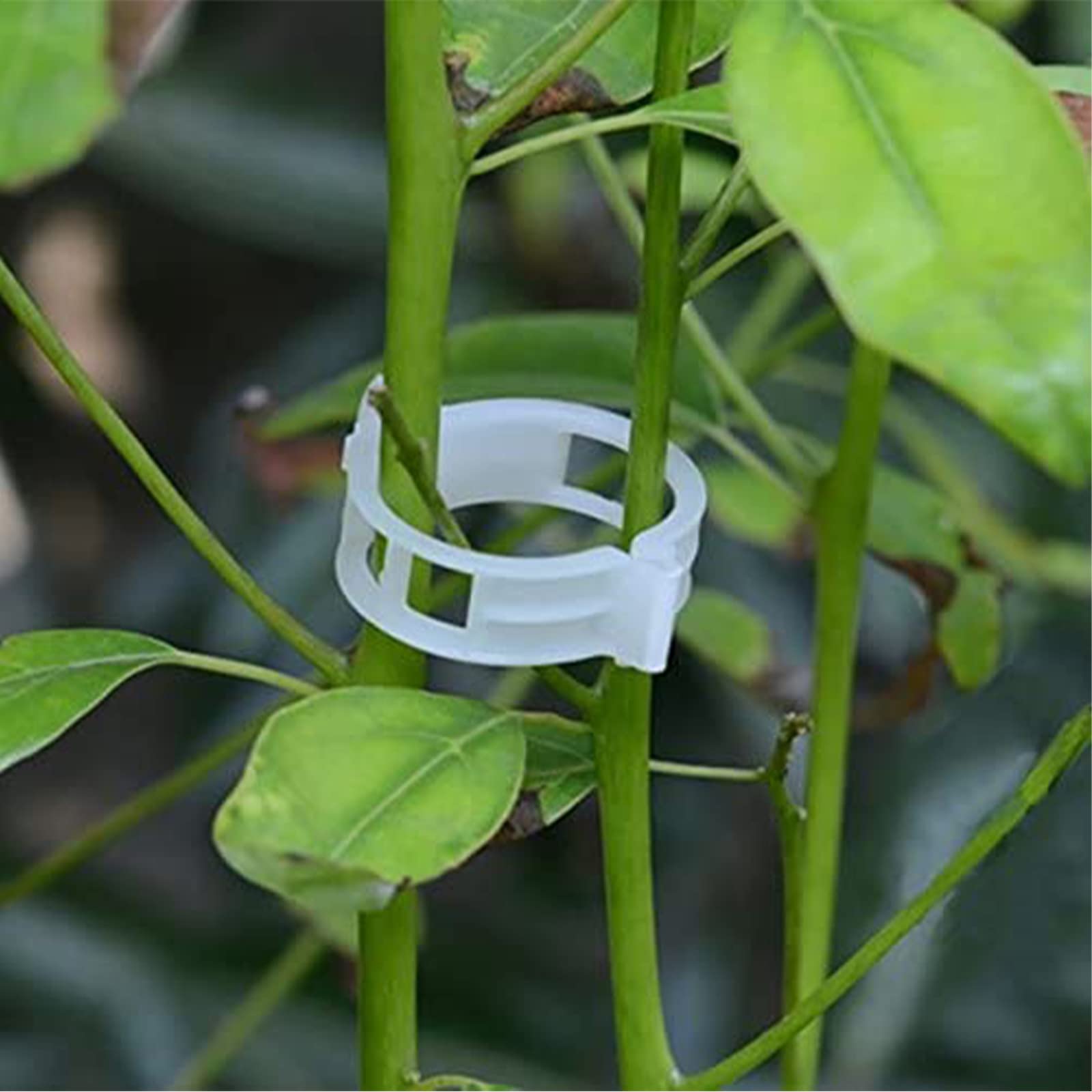 Winmany clip designed for a 1 inch stake for solid garden support