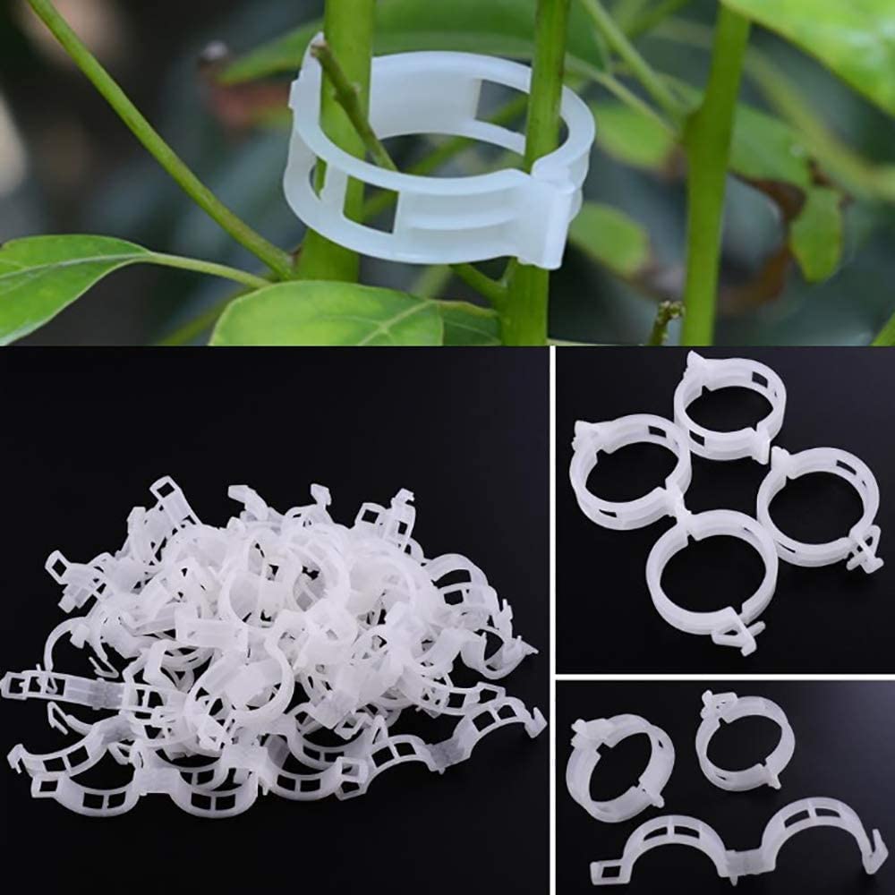 Winmany garden clips attached to a trellis for neat plant support