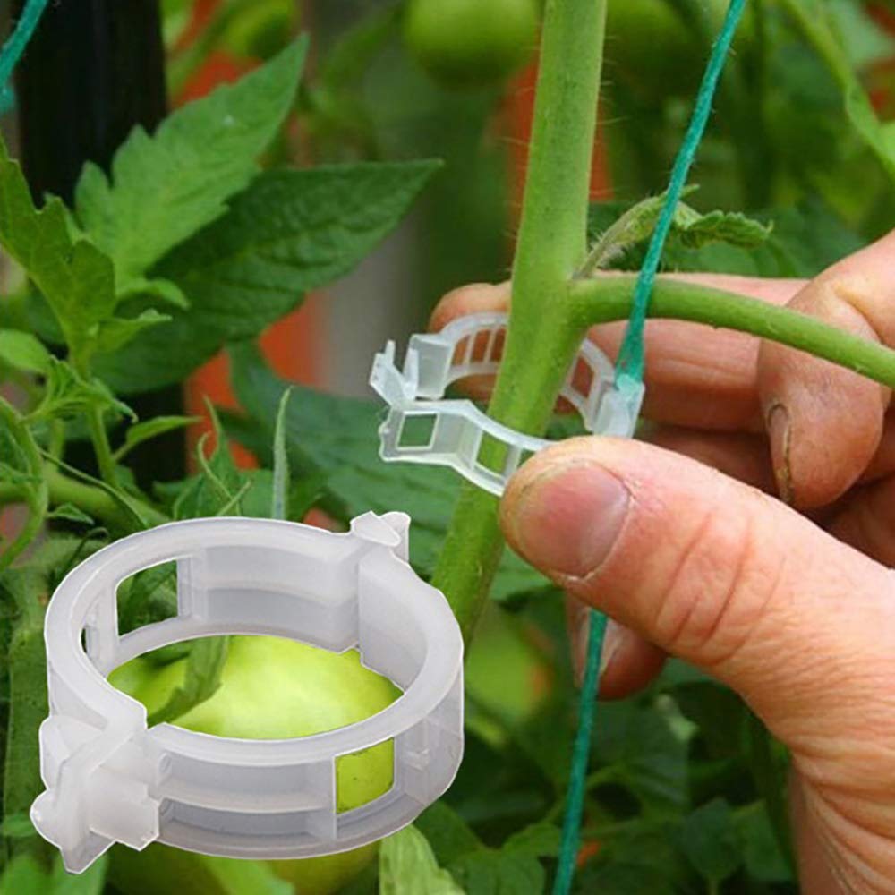 Winmany plant support clips for tomato stems providing gentle upright support