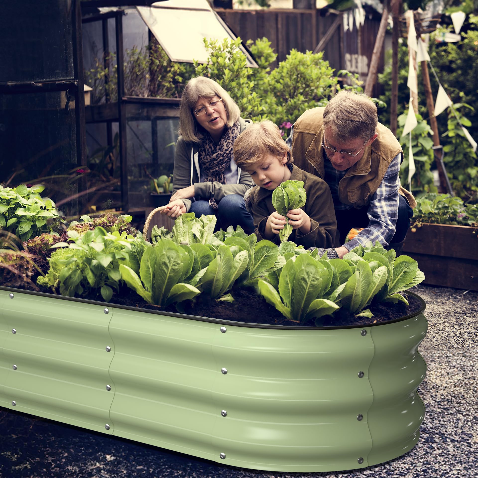 Winpull open base aids drainage and soil enrichment.