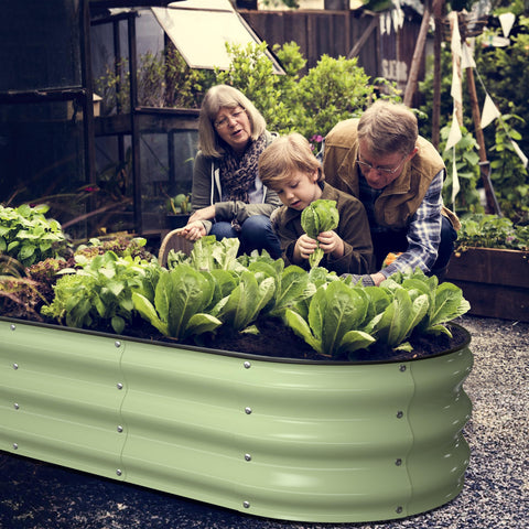 Winpull open base aids drainage and soil enrichment.
