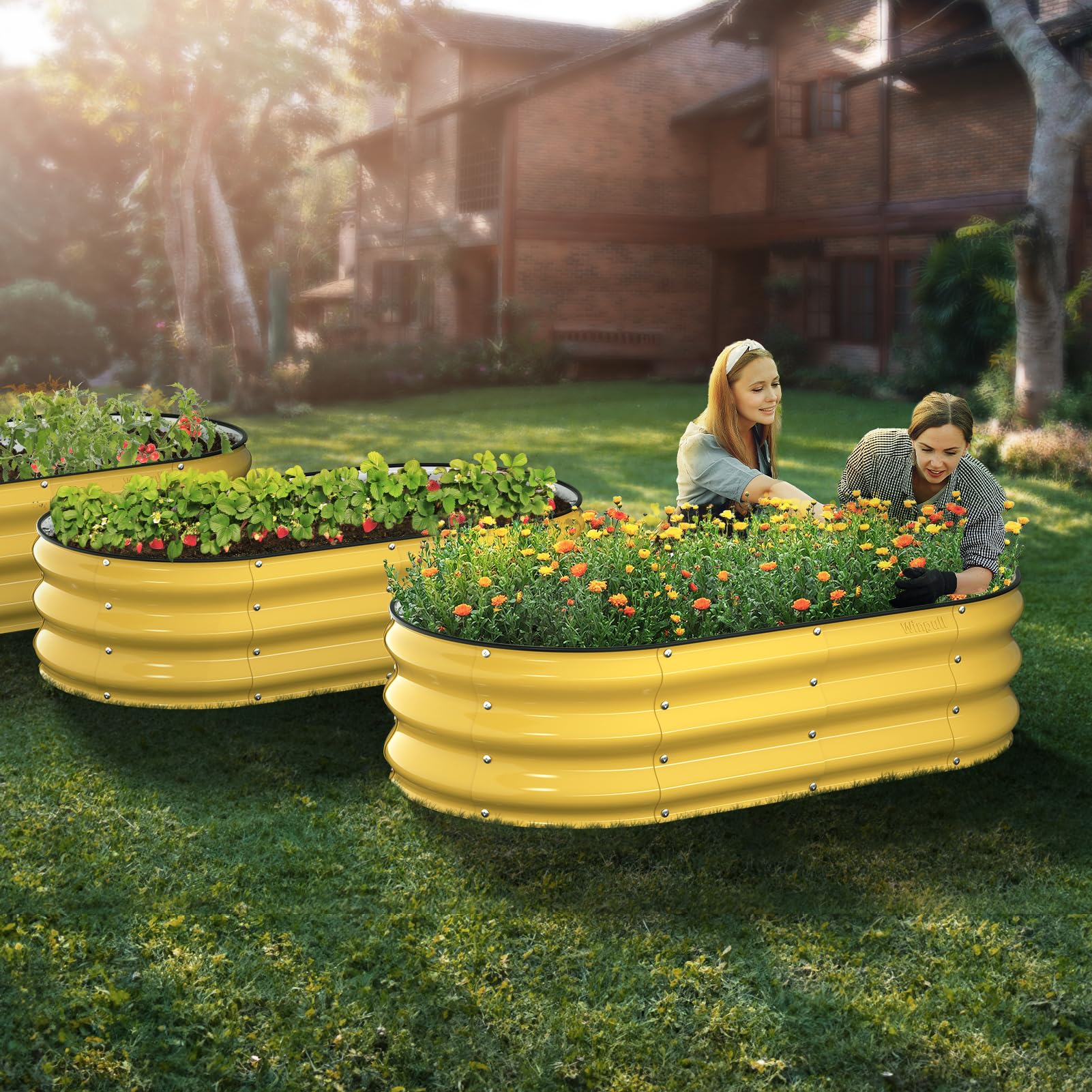Winpull 12-inch planting depth offers space for carrots and beans