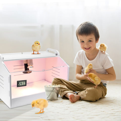 WIONBE brooder box assembly guide facilitates quick setup.