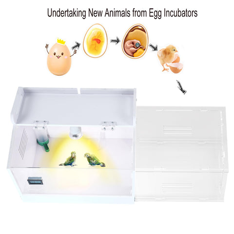 WIONBE brood box dimensions 27.5 by 11.8 by 11.8 inches for ample space