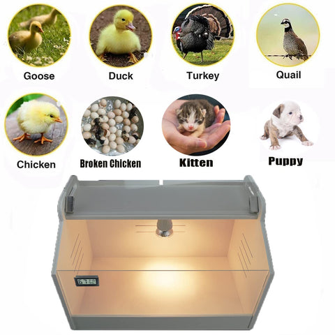 WIONBE brooder box heating lamp provides steady warmth for newborns.
