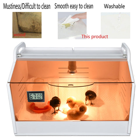 WIONBE brooder box temperature and humidity display helps monitor chick climate.
