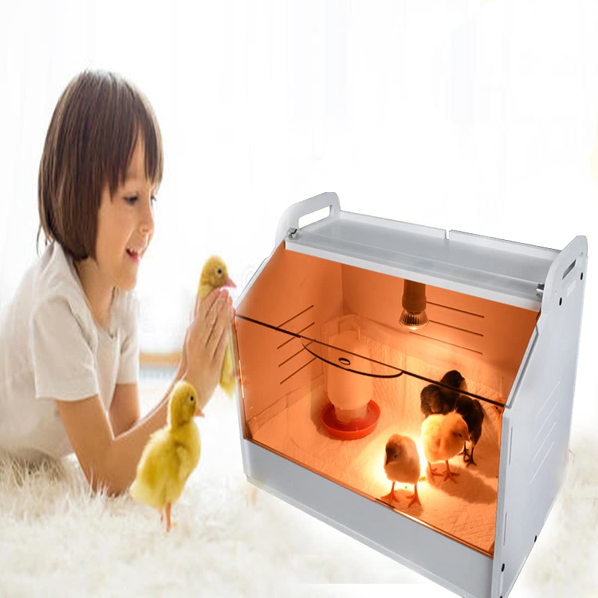 WIONBE brooder box transparent windows let families observe progress safely.