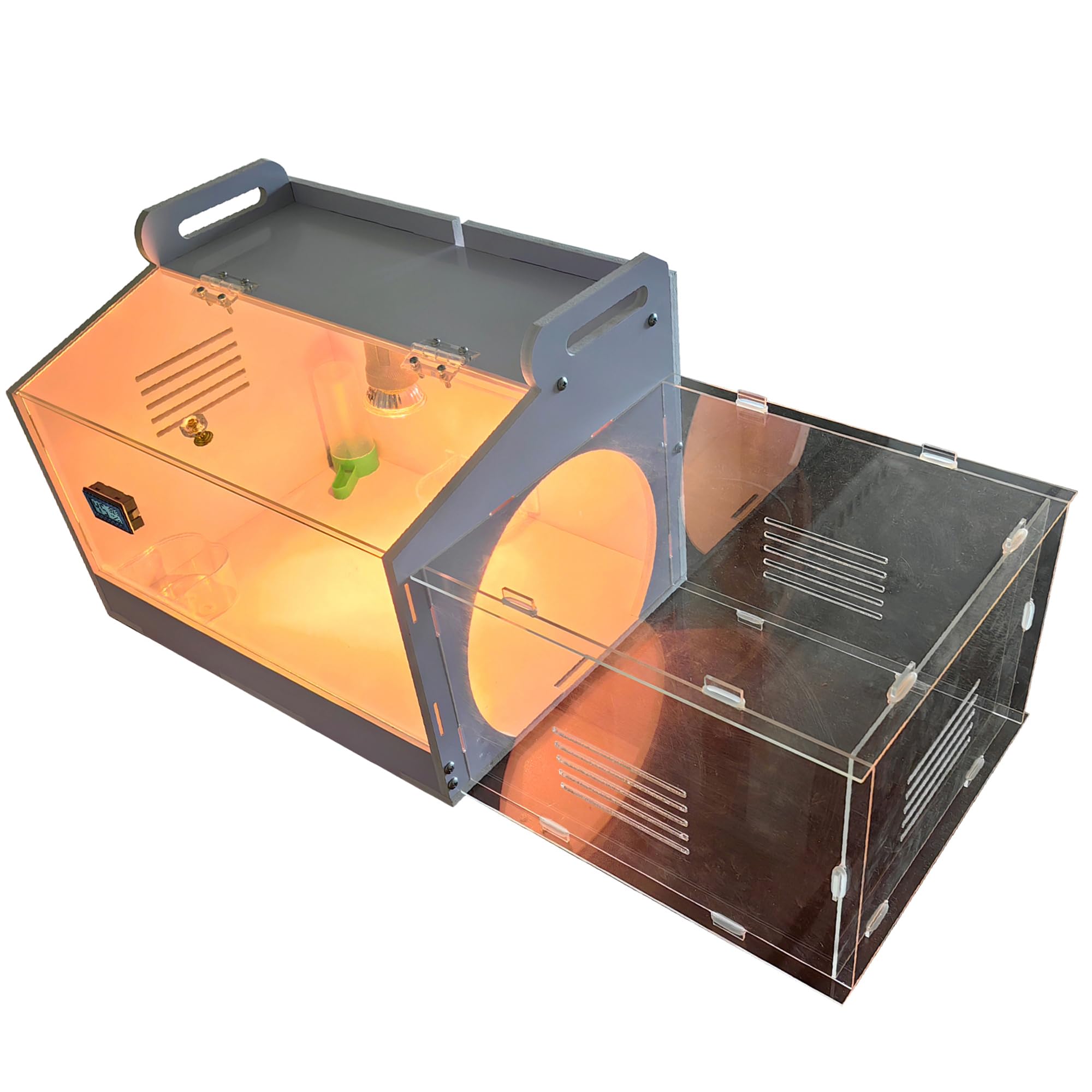 WIONBE heat lamps inside provide warm brooding environment