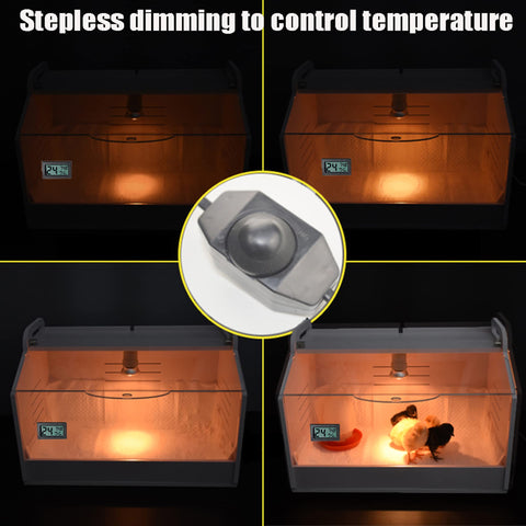 WIONBE digital display shows temperature and humidity for easy adjustments.