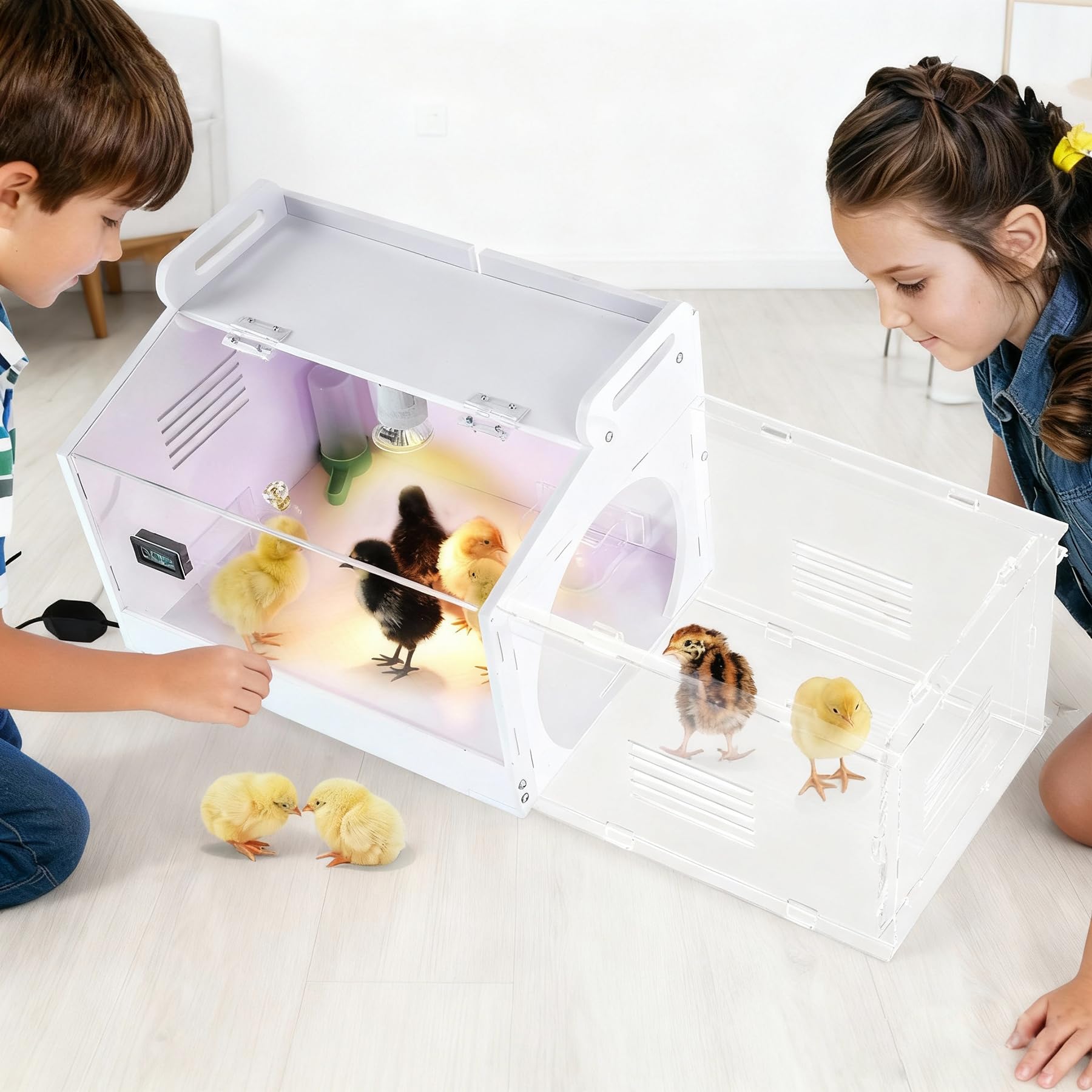 WIONBE perspective window offers family-friendly view of incubation progress