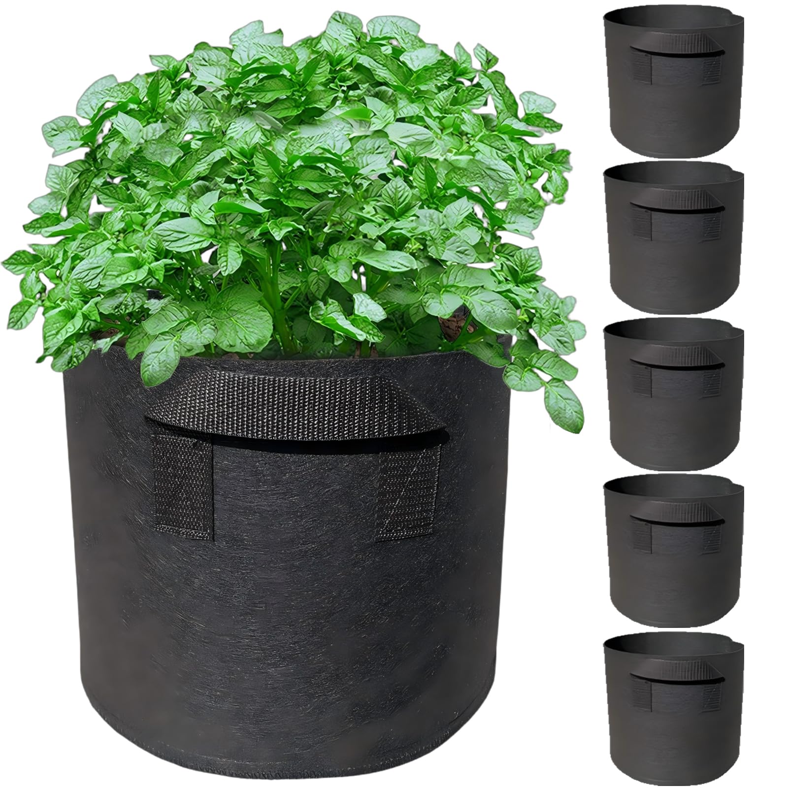 Wiretran 5-pack 3-gallon grow bags ready for portable balcony gardens.