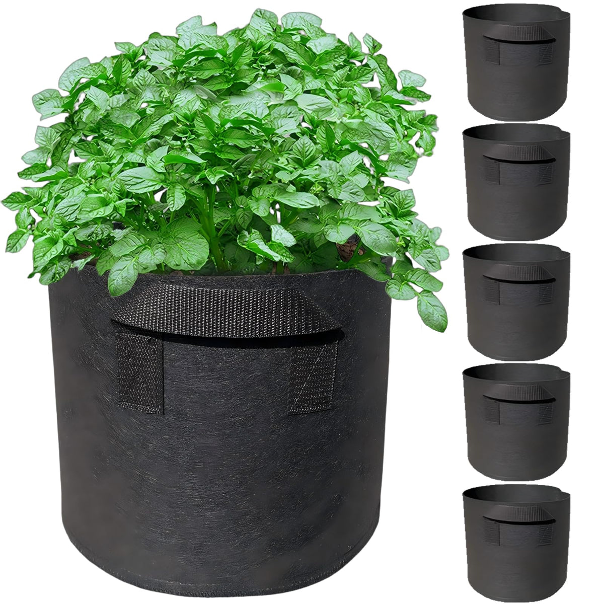 Wiretran 5-pack 3-gallon grow bags ready for portable balcony gardens.