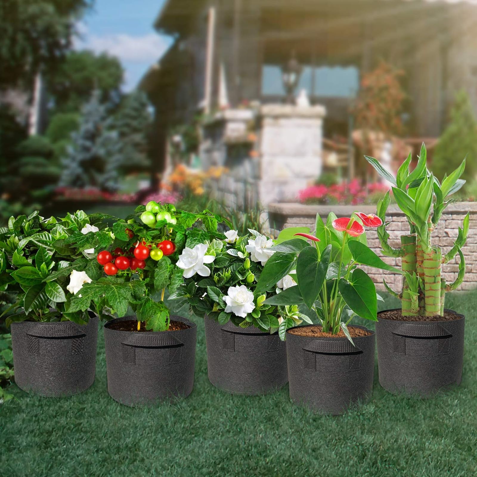 Wiretran grow bags with invisible handles simplify plant relocation.