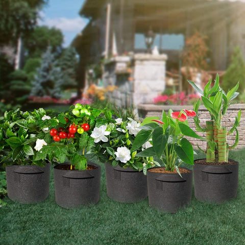 Wiretran grow bags with invisible handles simplify plant relocation.