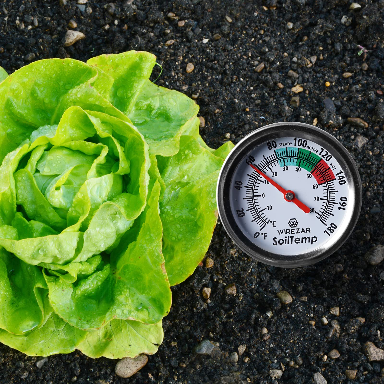 Wirezar 16-inch stem thermometer installed in soil for plant temperature awareness.