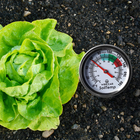 Wirezar 16-inch stem thermometer installed in soil for plant temperature awareness.