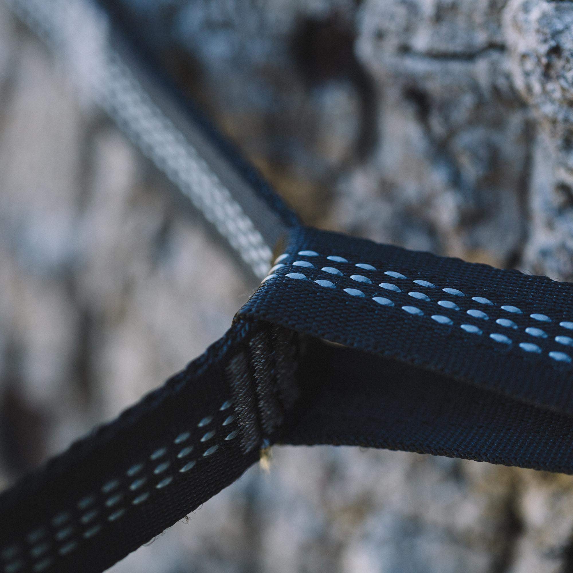 Wise Owl Outfitters 1-inch straps minimize tree bark damage.