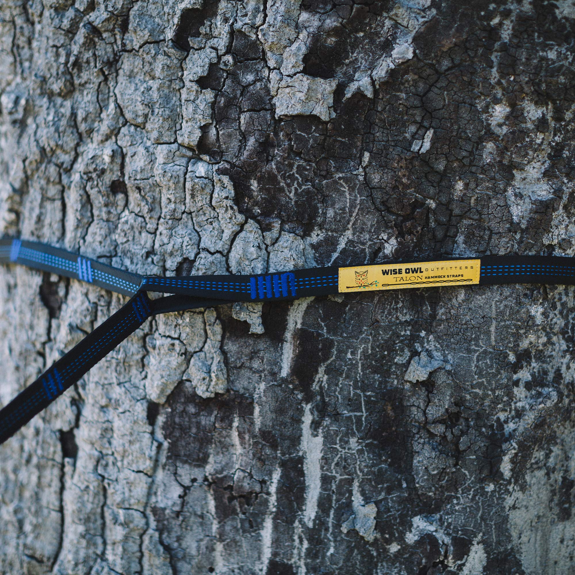 Tree-friendly 1-inch wide webbing minimizes bark damage