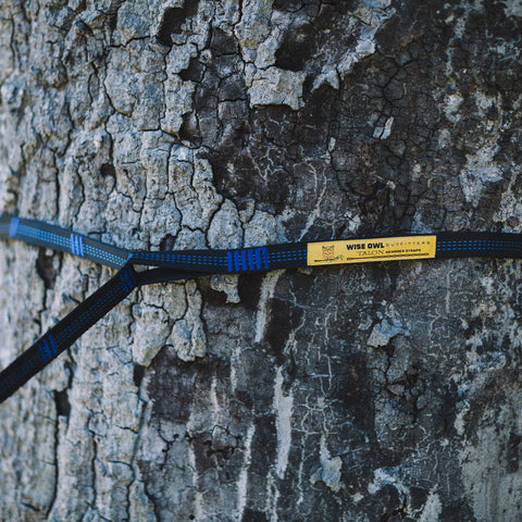 Tree-friendly 1-inch wide webbing minimizes bark damage