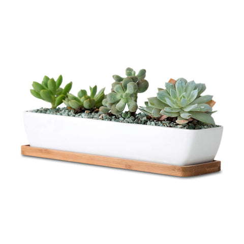 WISH HALLY WOOD 11in white ceramic rectangle planter with clean lines for succulents.