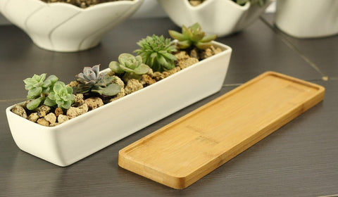WISH HALLY WOOD desk-ready planter for organization.