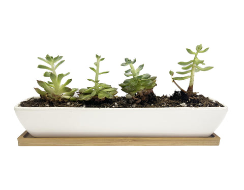 WISH HALLY WOOD drainage hole ensures moisture drains safely.