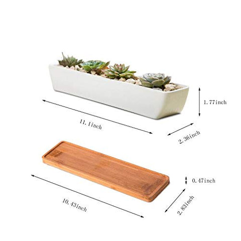 WISH HALLY WOOD glaze detail emphasizes modern ceramic finish.