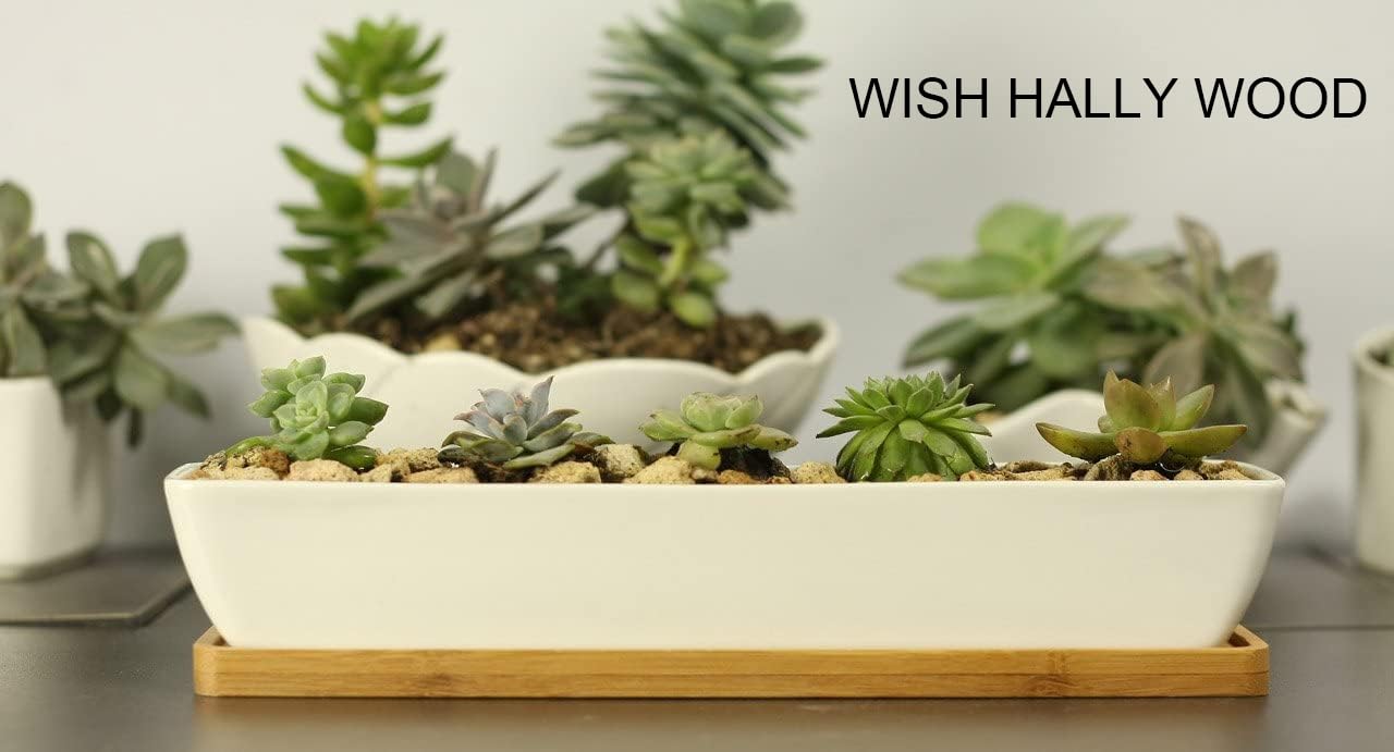 WISH HALLY WOOD side view shows slim rectangular profile.