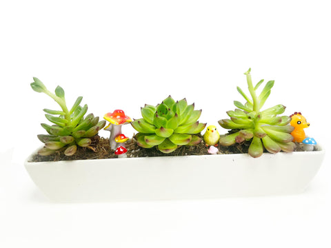 WISH HALLY WOOD top view highlights minimalist glaze.