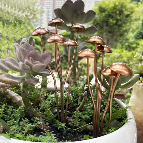 Wissppoott easy install mushroom stakes require no assembly.