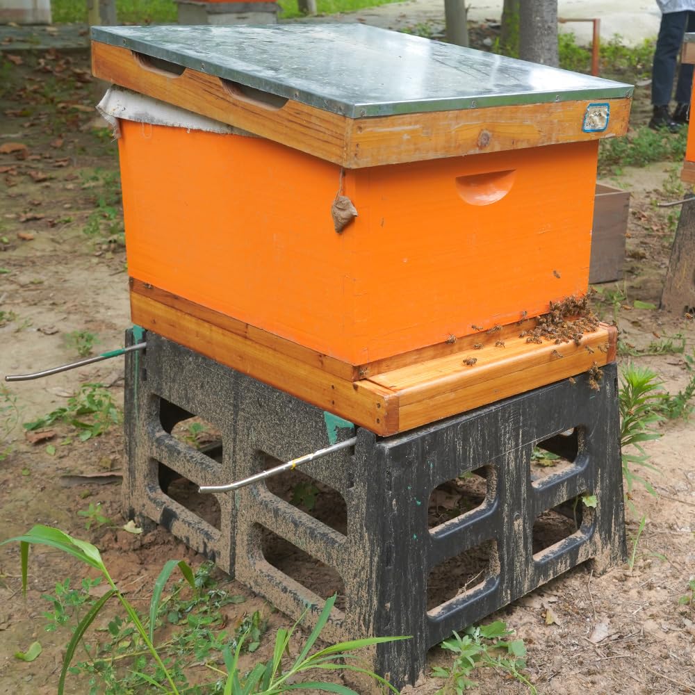 Witbee 10-frame bottom board dimensions: 16-1/4 x 22 x 2-9/16 inches.