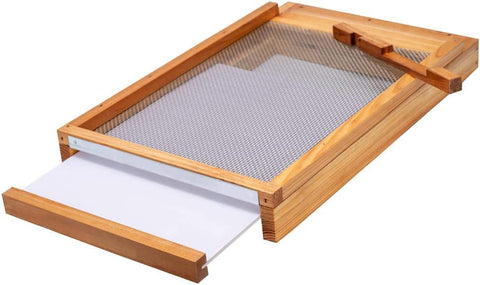 Witbee beehive screened bottom board with 10-frame layout improves hive airflow.