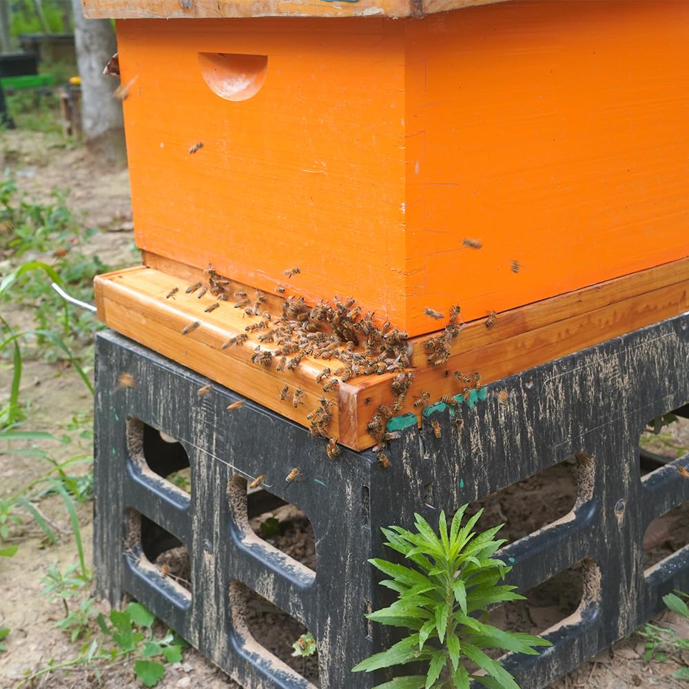 Witbee Langstroth bottom board with beeswax dip protects wood from weather.