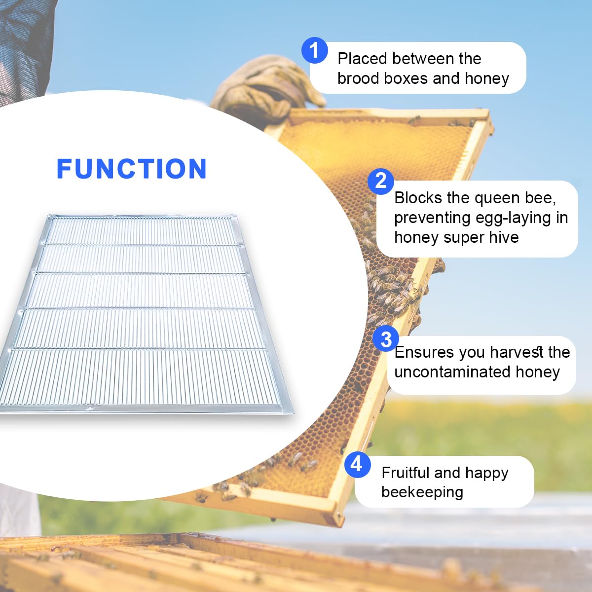 Witbee queen excluder hive setup shows integration with a hive core