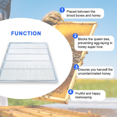 Witbee queen excluder hive setup shows integration with a hive core