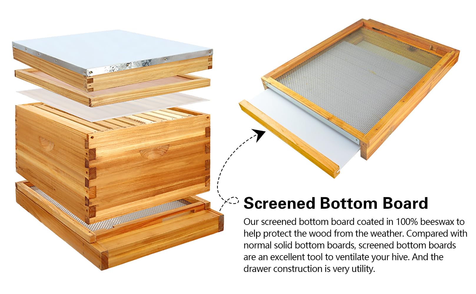 Witbee two-pack beehive bottom boards offer value for larger setups.