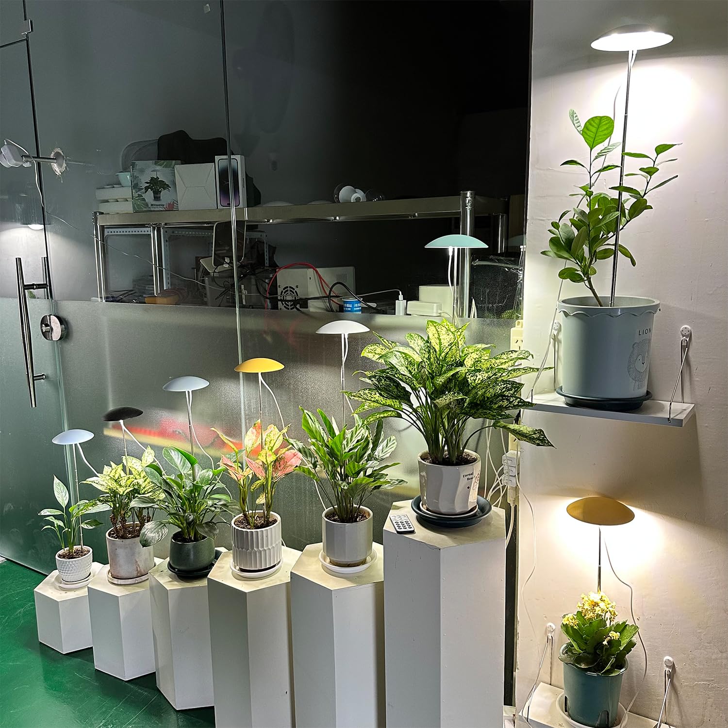 Witsanlex LED grow lights installed as decor to brighten a plant nook.