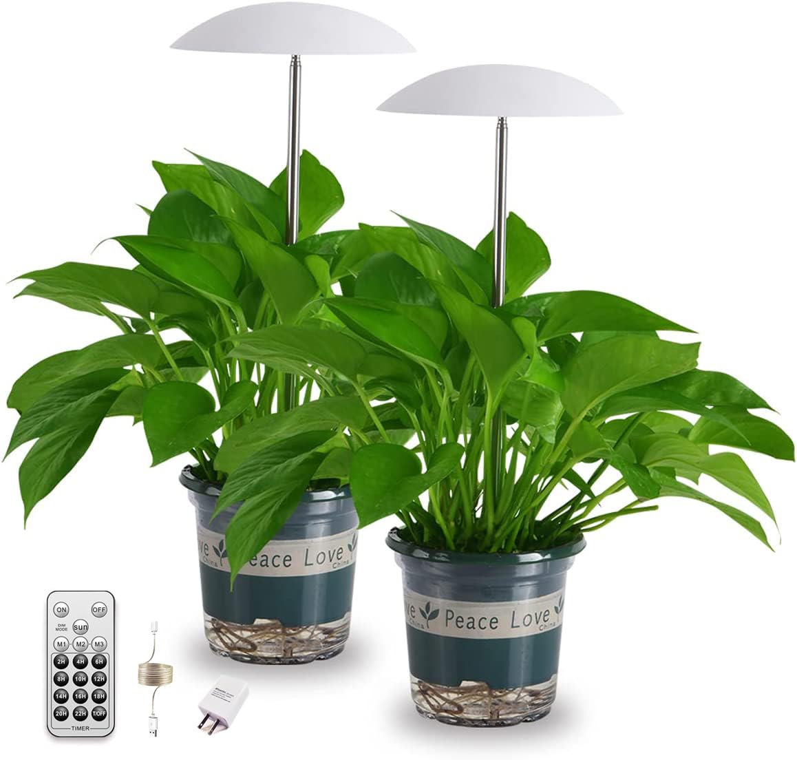 Witsanlex LED grow lights 2-pack with remote for full-spectrum indoor plant boosting.